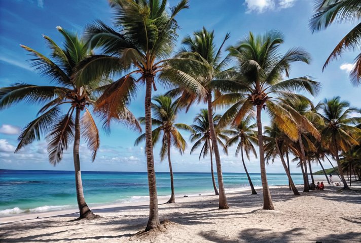 Costa Rica Rundreise & Baden