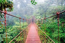 Costa Rica Rundreise & Baden - Monteverde Nebelwald