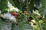 Costa Rica Rundreise & Baden