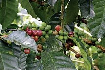 Costa Rica Rundreise & Baden