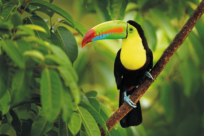 Costa Rica Rundreise & Baden