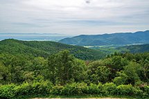 Hotel L`Alexain - Typische Elsässische Landschaft