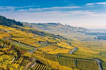 Hotel L`Alexain - Weinberge im Elsass