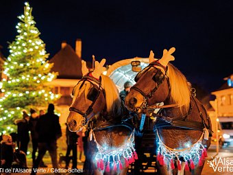Advents-Roulette im Elsass - Weihnachtsmarkt um Elsass