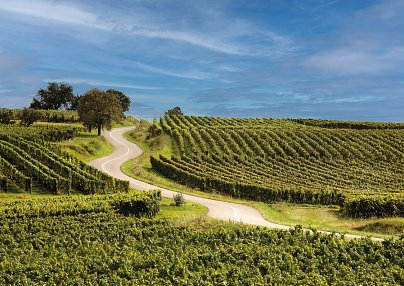 Hôtel du Parc Wellness & Beauty, Spa Niederbronn-les-Bains