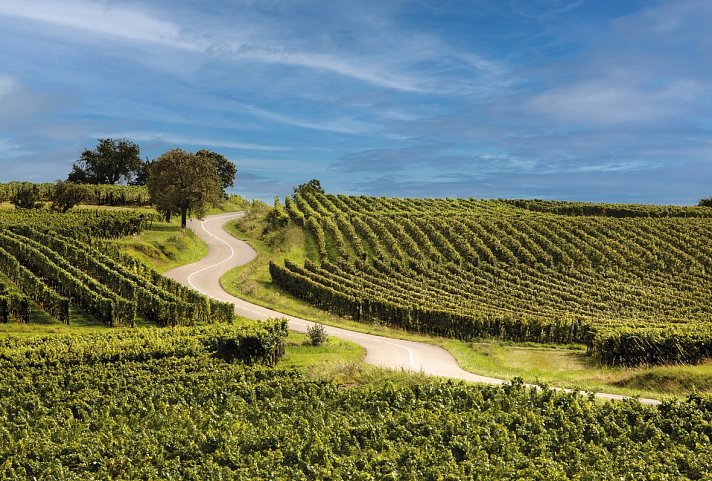 Hôtel du Parc Wellness & Beauty, Spa - Elsässer Weinstraße