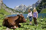 Wander- und Familienhotel Erika