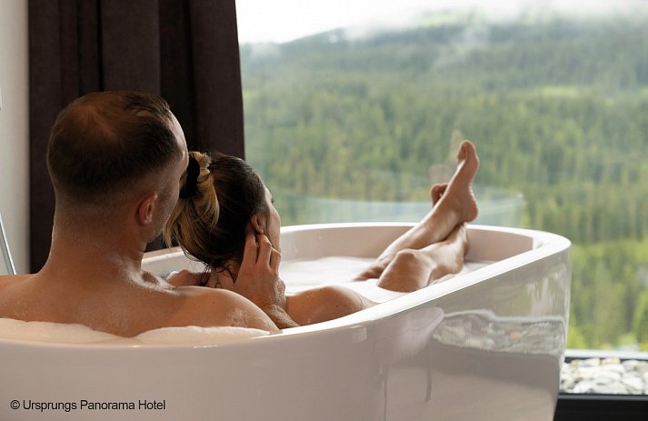Ursprungs Panorama Hotel