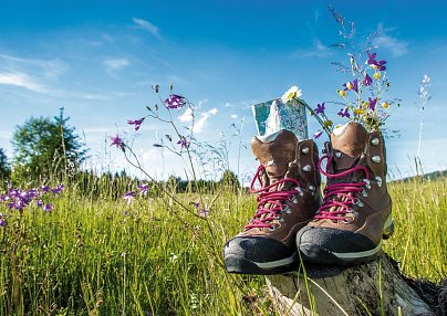 Wanderreise mit Hütte Bad Ischl