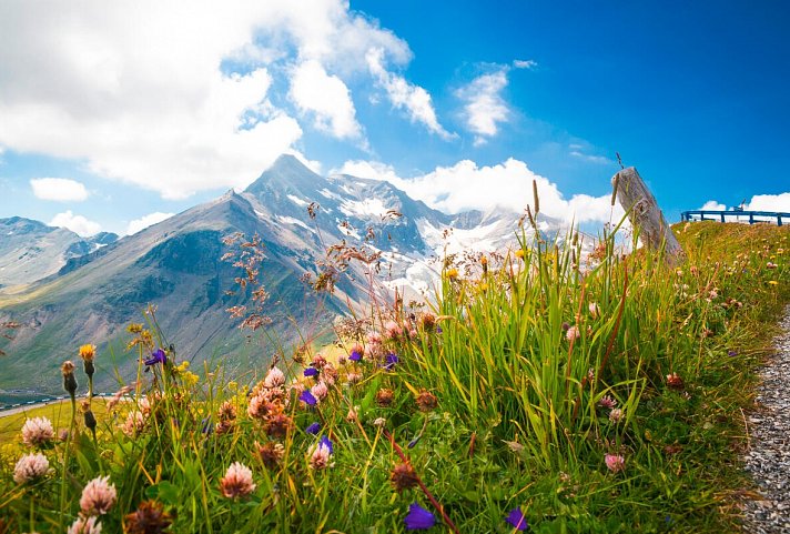 Sporthotel Kogler - Großglockner