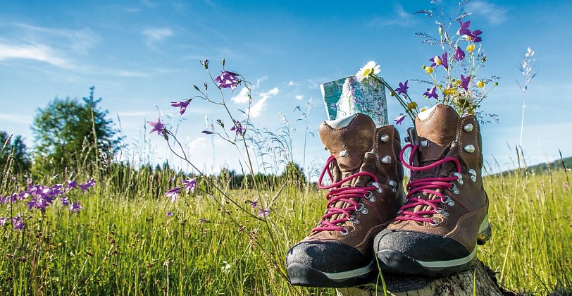 Wanderreise Saalbach