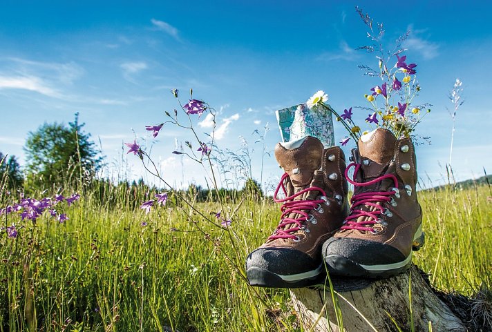 Wanderreise Saalbach - Wanderschuhe auf Almwiese
