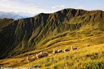 Wanderreise Saalbach