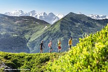 Wanderreise Saalbach - Gruppe wandert rund um Saalbach Hinterglemm