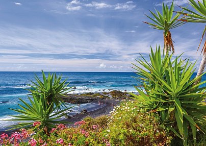 Hotel BLUESEA Puerto Resort