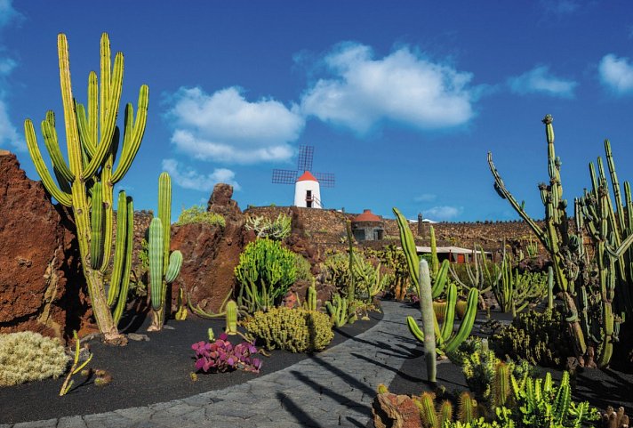 Kreuzfahrt Kanaren + Madeira