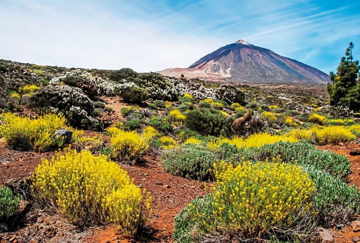 Kreuzfahrt Kanaren & Madeira - Teide