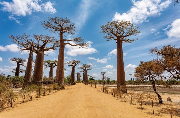 Madagaskar Rundreise