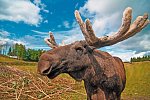 Skandinavien Rundreise