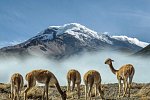 Ecuador Rundreise