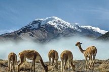 Ecuador Rundreise - Vulkan Chimborazo