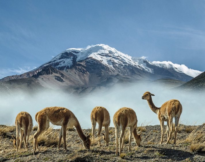 Ecuador Rundreise