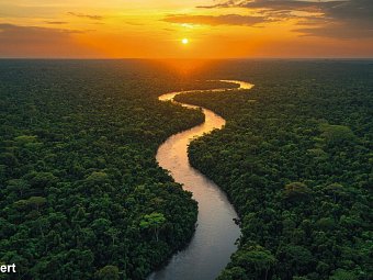 Ecuador Rundreise - Amazonasgebiet