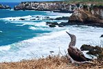 Ecuador Rundreise