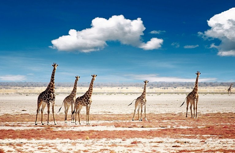 Namibia Rundreise