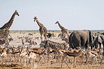 Namibia Rundreise