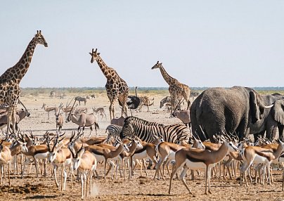 Namibia Rundreise 