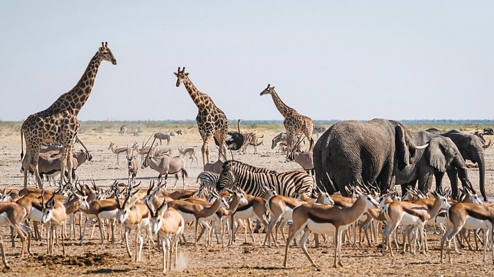 Namibia Rundreise