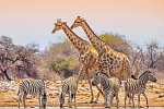 Namibia Rundreise