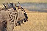 Namibia Rundreise