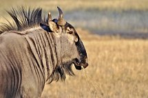 Namibia Rundreise