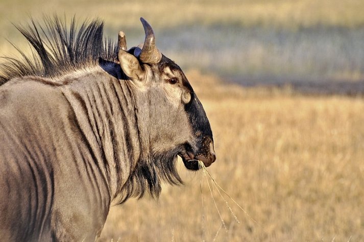 Namibia Rundreise