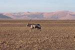Namibia Rundreise