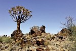 Namibia Rundreise