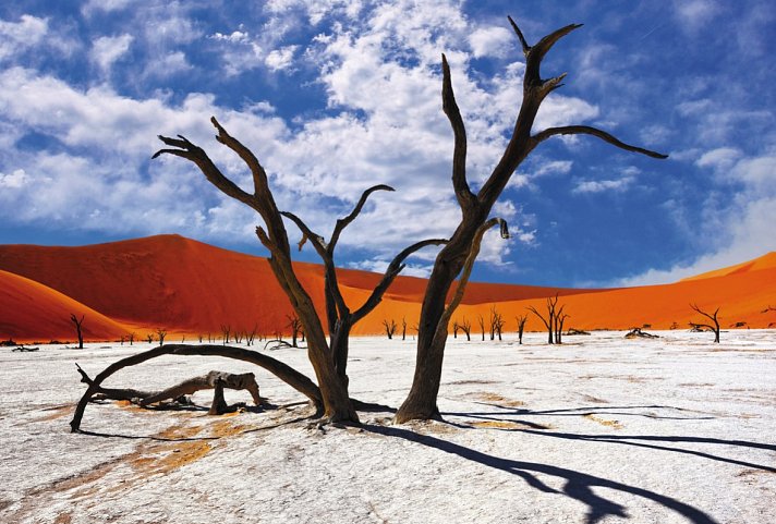 Namibia Rundreise - Deadvlei