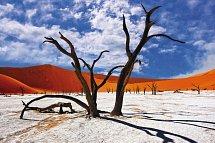 Namibia Rundreise - Deadvlei