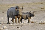Namibia Rundreise