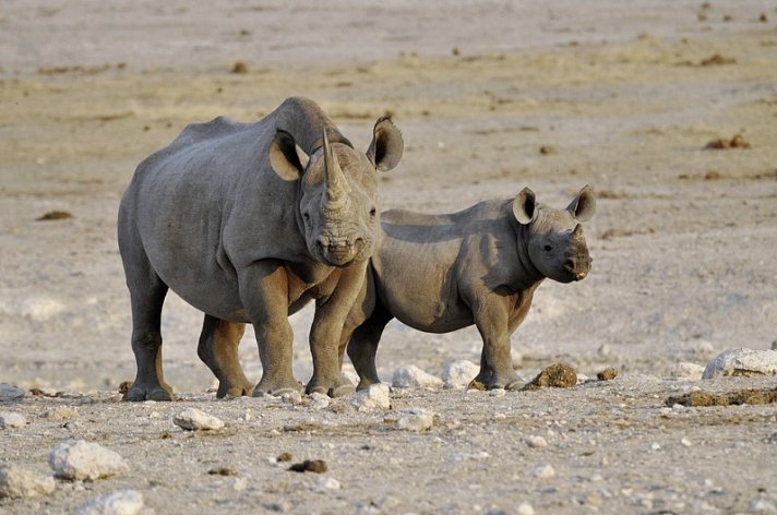 Namibia Rundreise