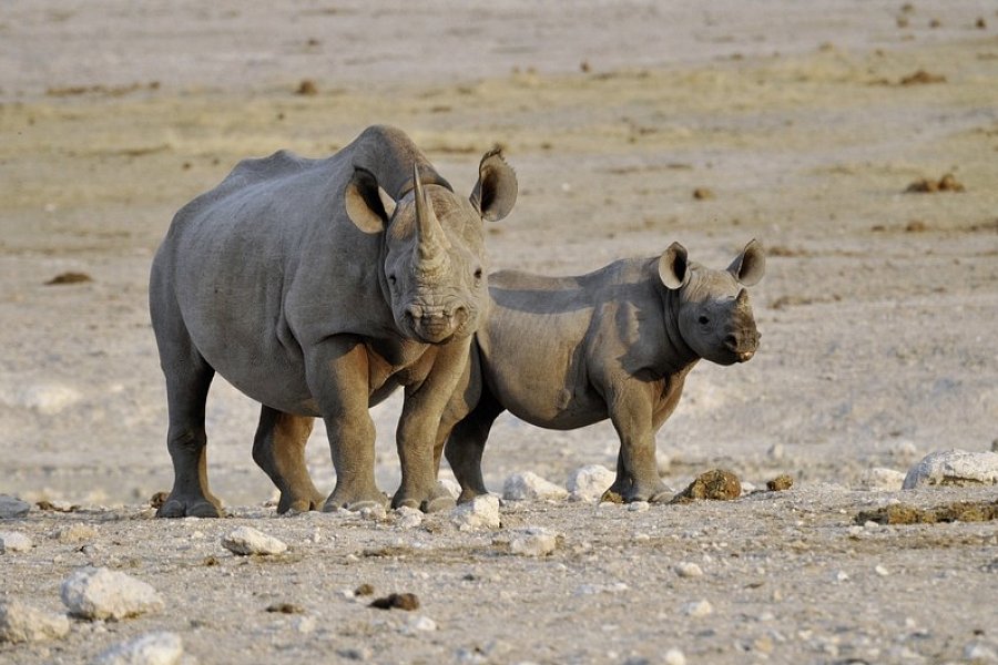 Namibia Rundreise