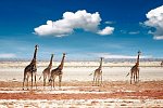 Namibia Rundreise