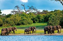 Namibia, Botswana, Simbabwe - Rundreise - Chobe Nationalpark