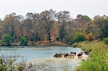 Namibia, Botswana, Simbabwe - Rundreise - Popa Falls