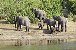 Namibia, Botswana, Simbabwe - Rundreise