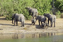 Namibia, Botswana, Simbabwe - Rundreise