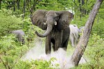 Namibia, Botswana, Simbabwe - Rundreise
