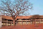Namibia, Botswana, Simbabwe - Rundreise
